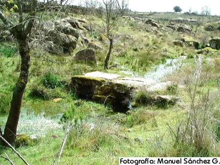 Arroyo y pilón de piedra en un prado