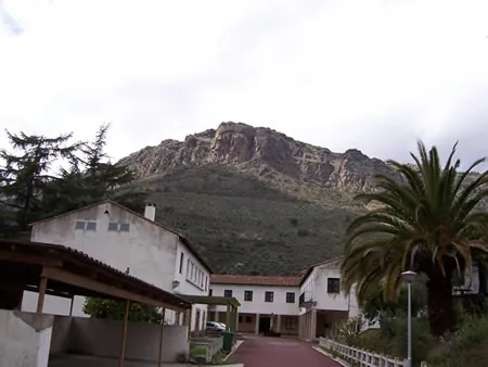 Casas en un valle con una palmera