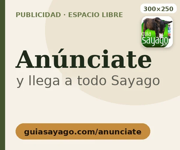 Maqueta 300×250