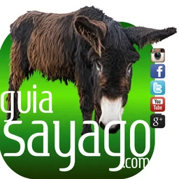 Logotipo de GuíaSayago
