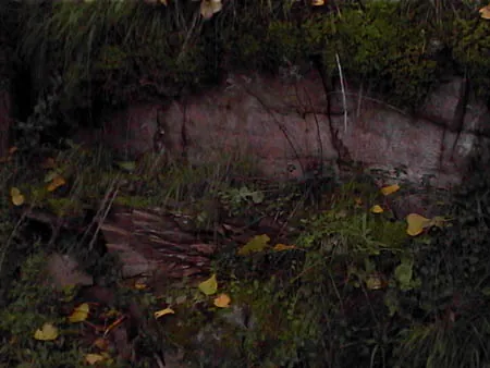 Ladera de otoño con roca