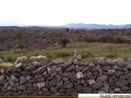 Muro de piedra con ovejas al fondo