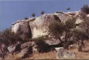 Peñascos y árboles en el camino de los Molinos de Fermoselle