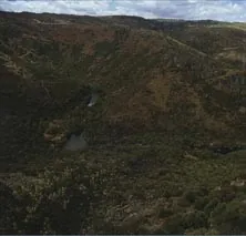 Ladera arbolada de un valle, en la ruta Fermoselle-Cordero