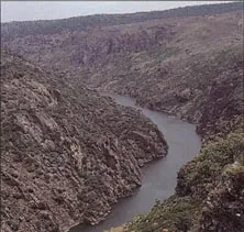 Cañón del Duero con paredes rocosas, en la ruta Mámoles-Ribas Altas