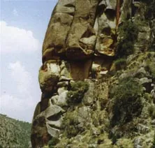 Pared de roca cubierta de vegetación, en la ruta Villardiegua-Peña Redonda