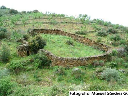 Terrazas de cultivo con muros de piedra