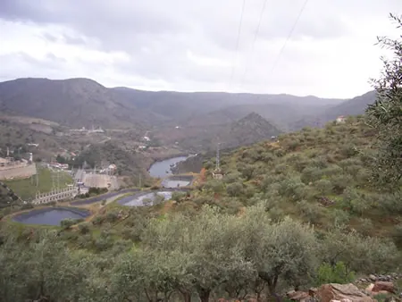 Valle con un río y olivos al fondo
